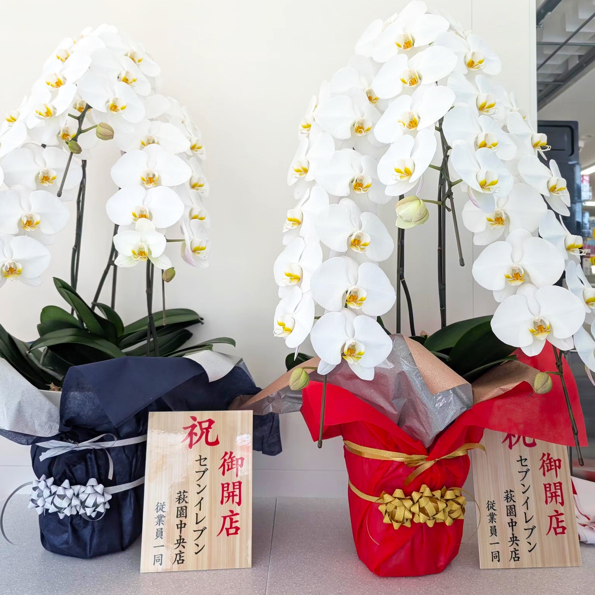 【単品OK・文言指定自由】お祝い立札（木札風）送料込み｜花・ギフト・推し活の名入れに｜開店祝い、就任祝い、誕生祝い、出産祝い、入学祝い、文言はご自由に指定可能｜再生ポリスチレン素材・倒れても安心な軽量素材｜